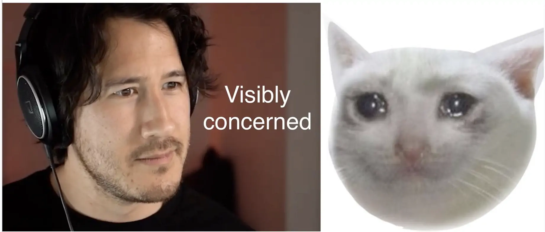 Read The Alpha