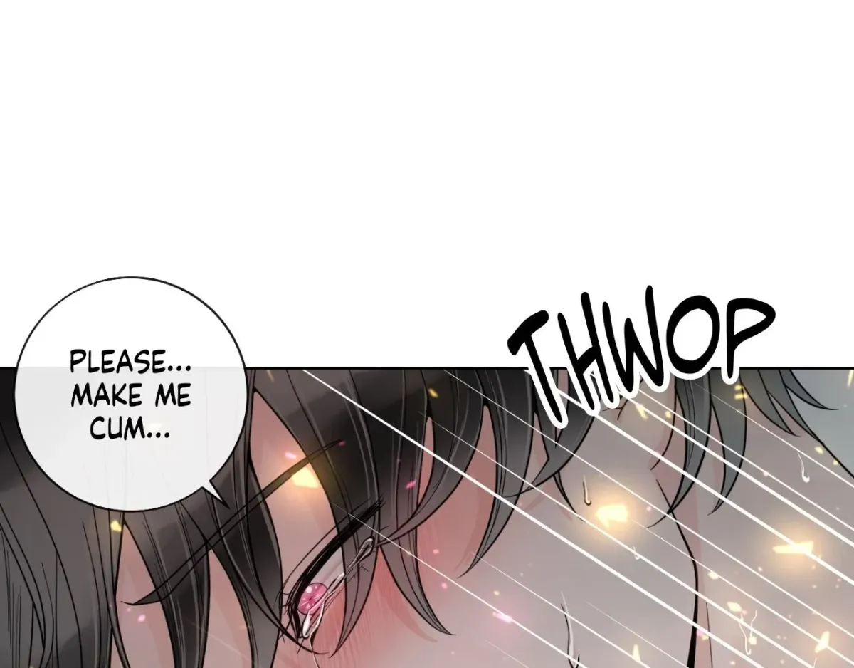 Read The Alpha