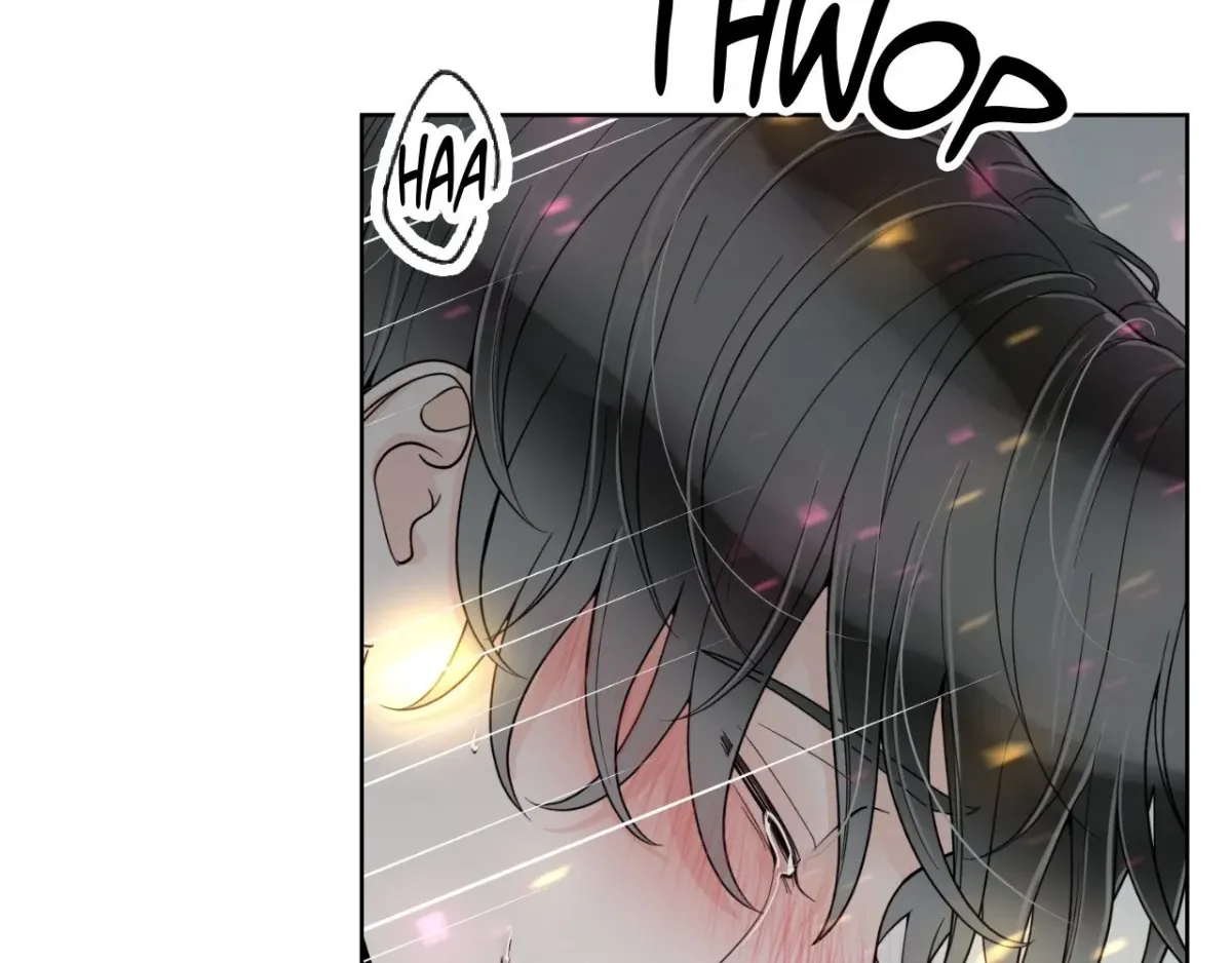 Read The Alpha