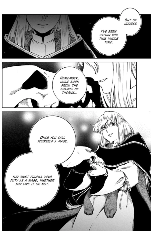 The Ancient Magus' Bride Chapter 123 page 19 - 