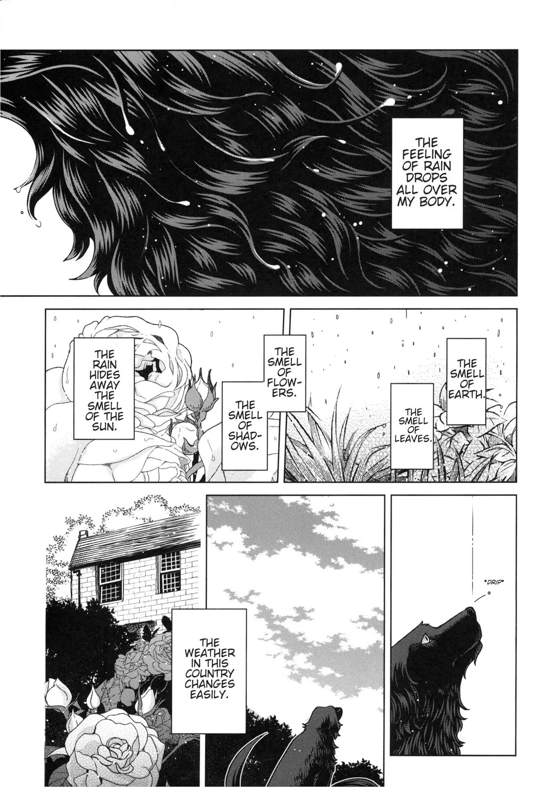 Read The Ancient Magus