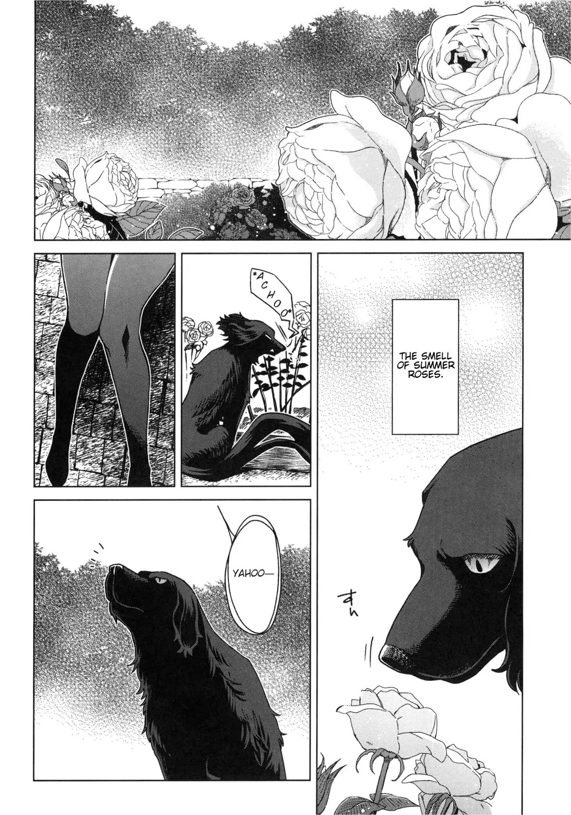 Read The Ancient Magus