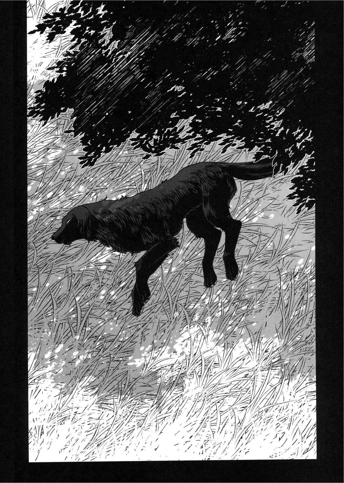 Read The Ancient Magus