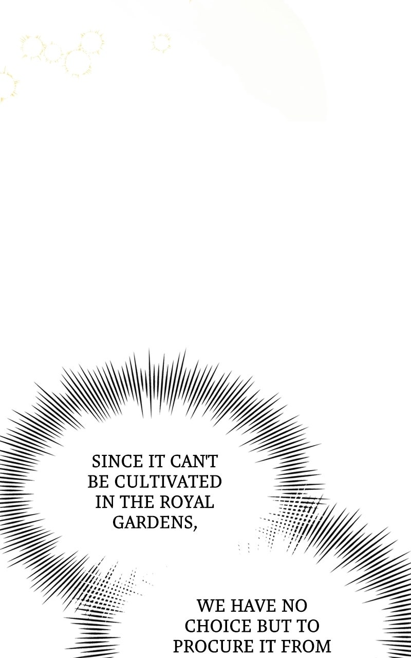 Read The Apothecary Prince chapter 89 image 94 on Lezhin