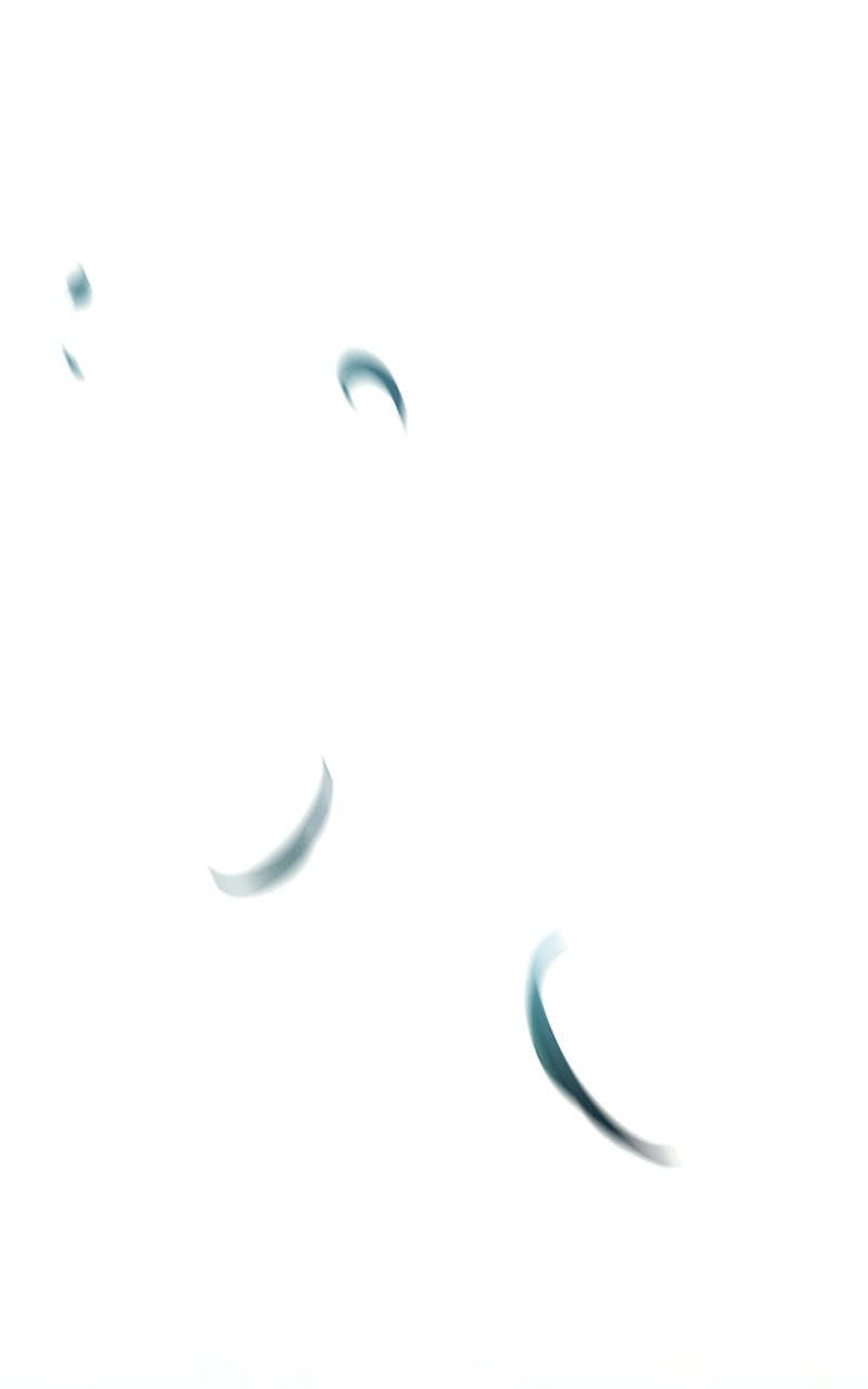 Read The Apothecary Prince chapter 97 image 100 on Lezhin