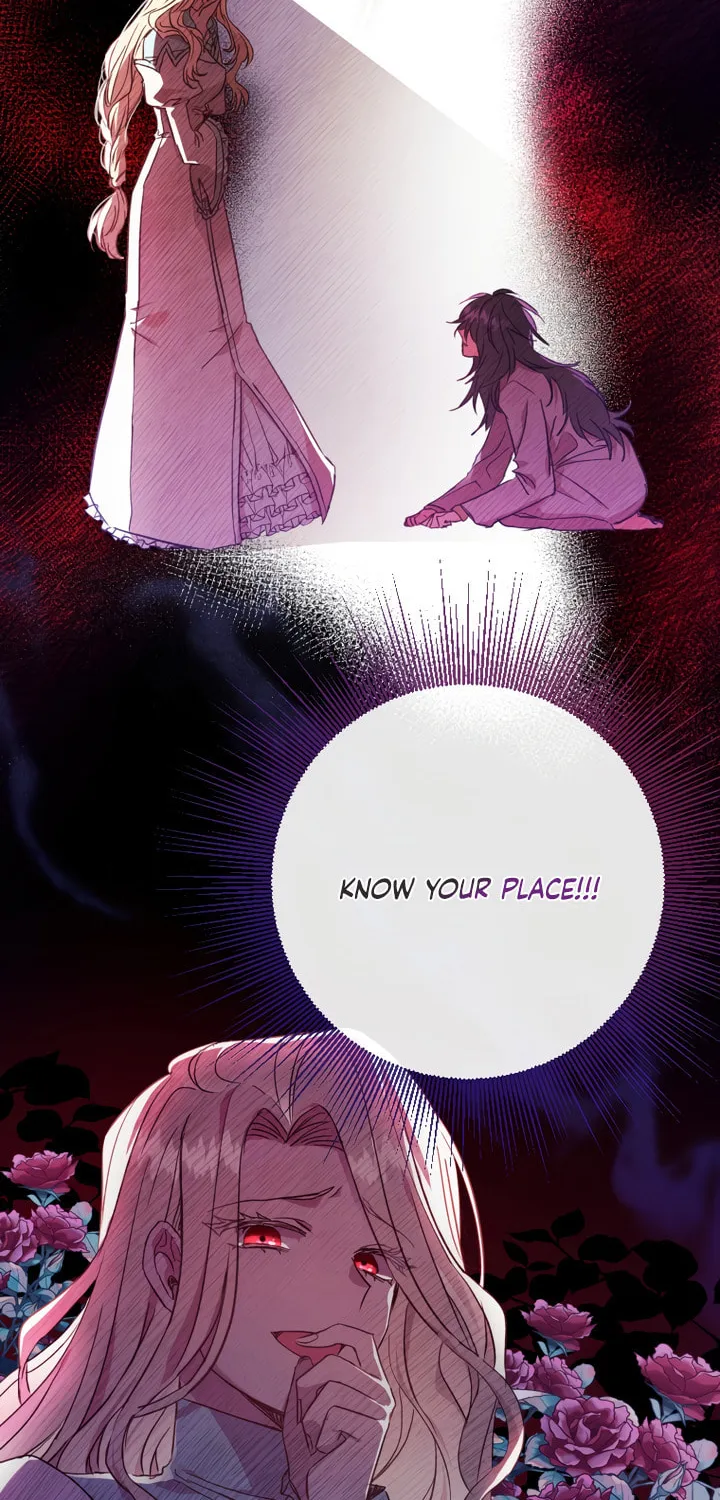 Read The Archduke
