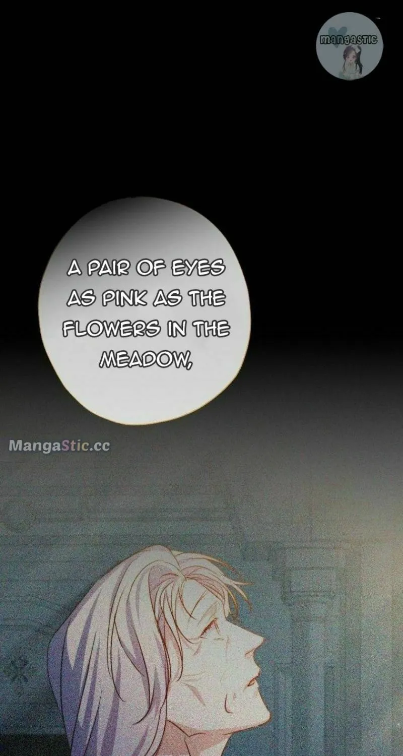 Read The Archduke
