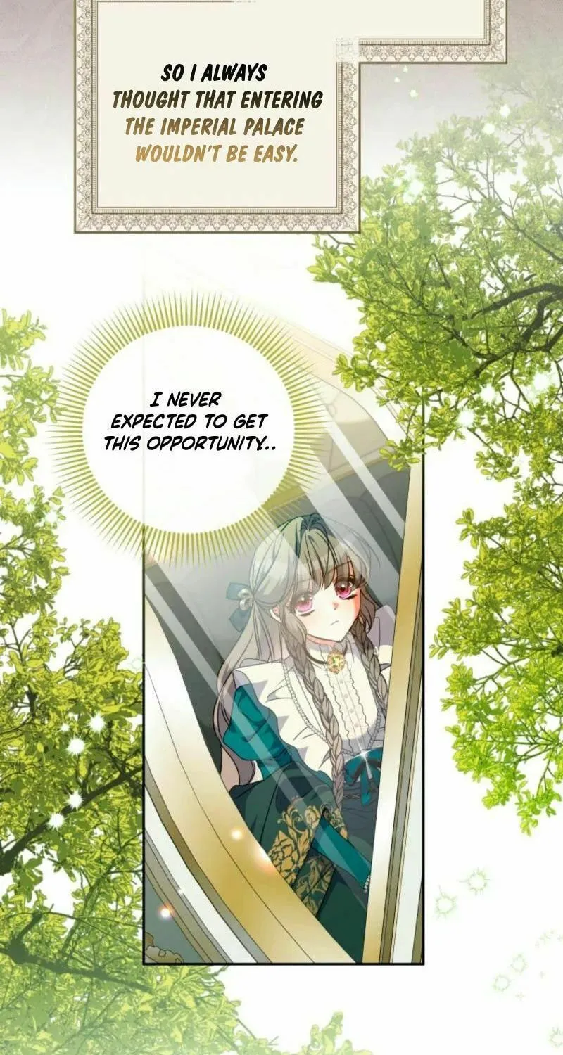 Read The Archduke