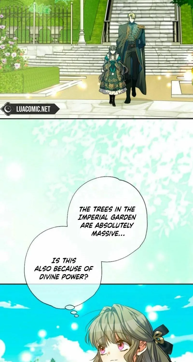 Read The Archduke