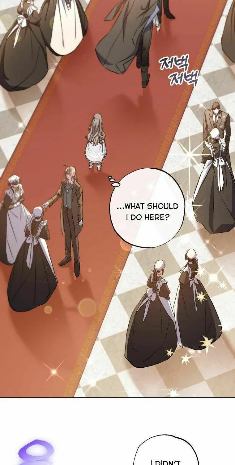 Read The Archduke
