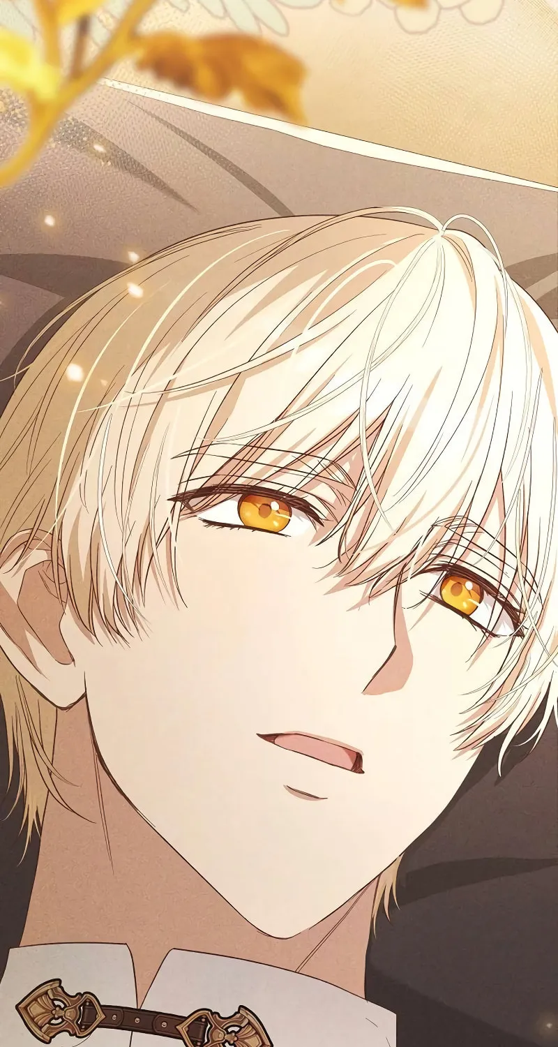 Read The Archduke