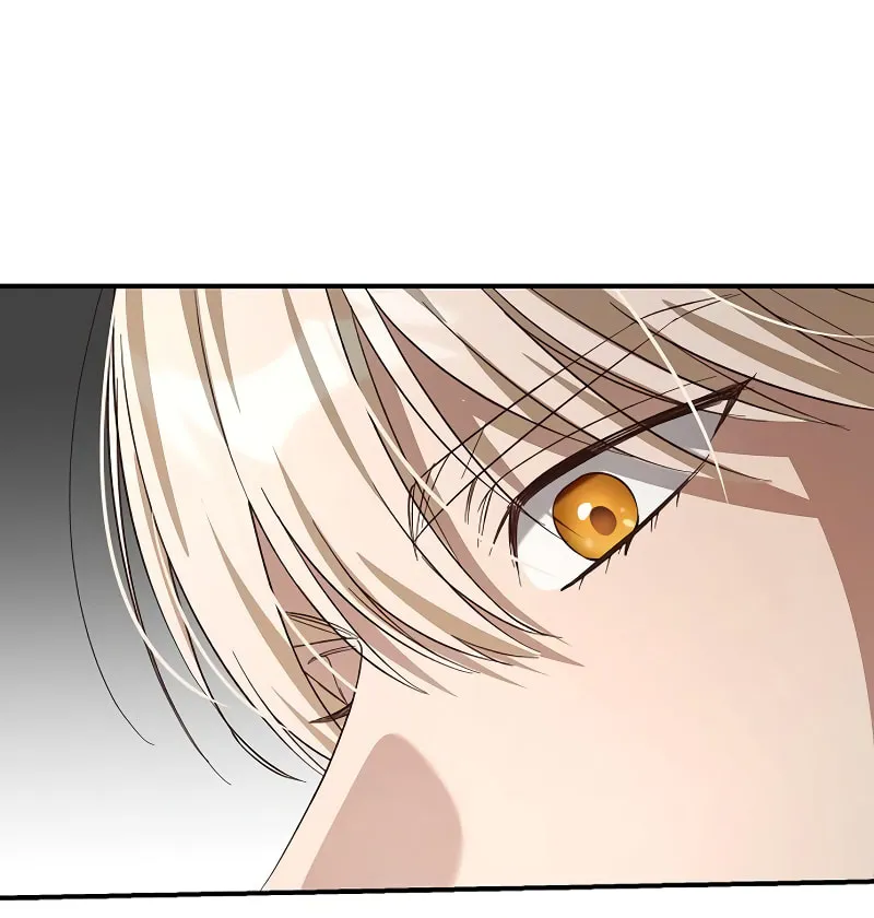 Read The Archduke