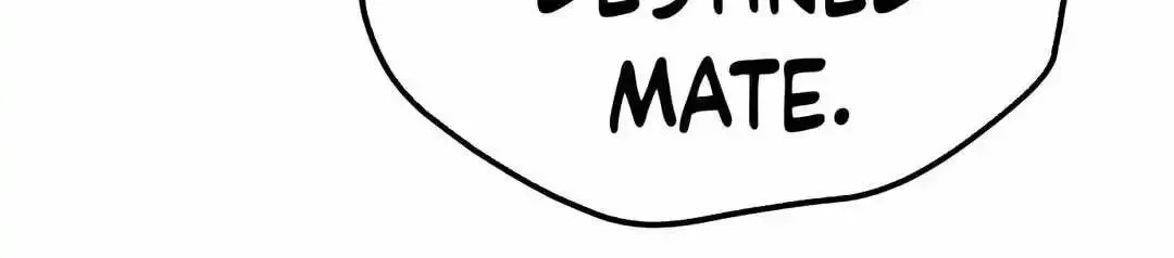 Read The Archmage