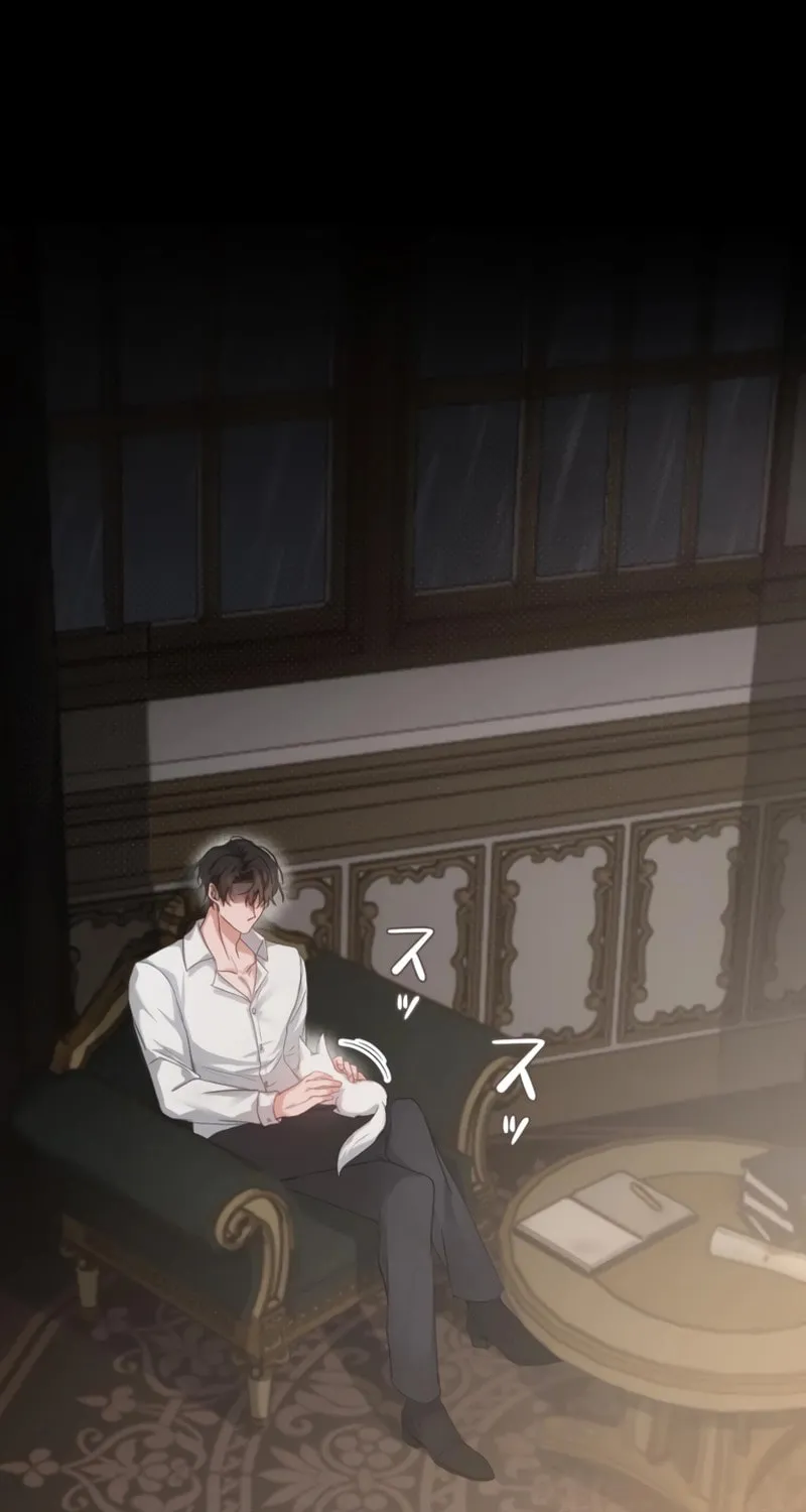 The Arranged Suitor Was the Kidnapper Chapter 2 page 5 - 