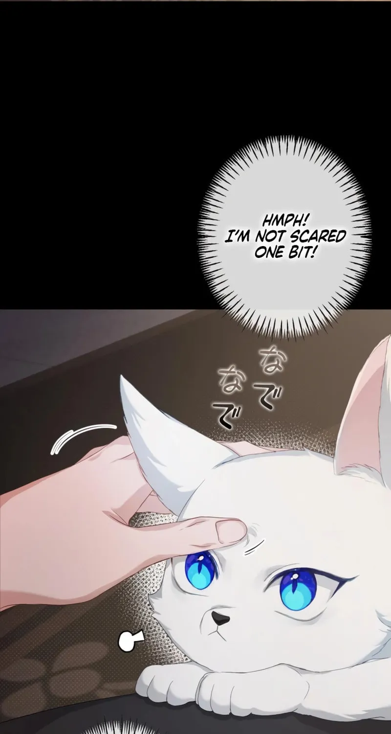 The Arranged Suitor Was the Kidnapper Chapter 2 page 6 - 