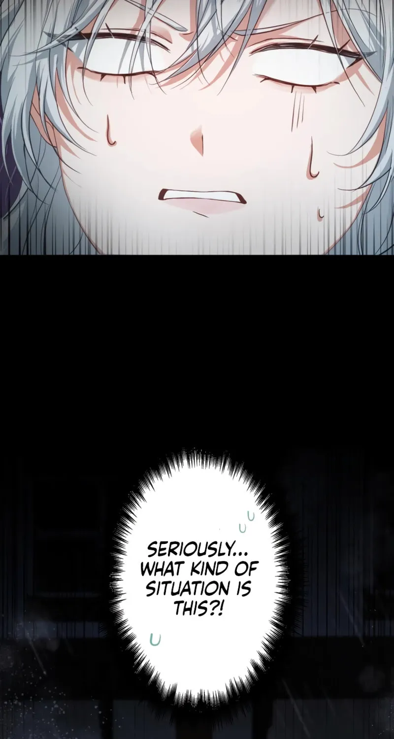 The Arranged Suitor Was the Kidnapper Chapter 3 page 5 - 