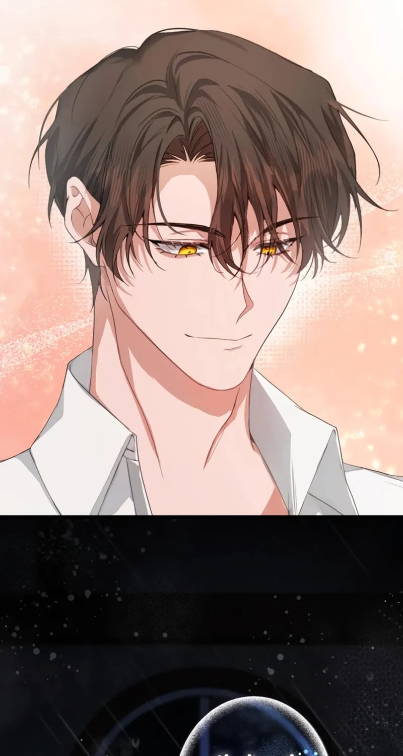 The Arranged Suitor Was the Kidnapper Chapter 3 page 65 - 
