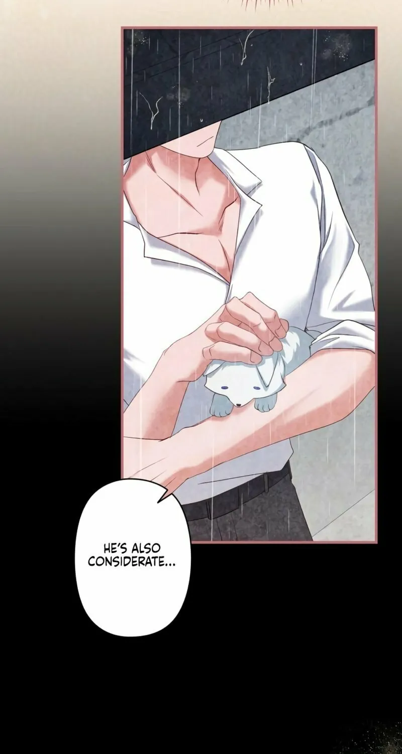 The Arranged Suitor Was the Kidnapper Chapter 7 page 9 - 