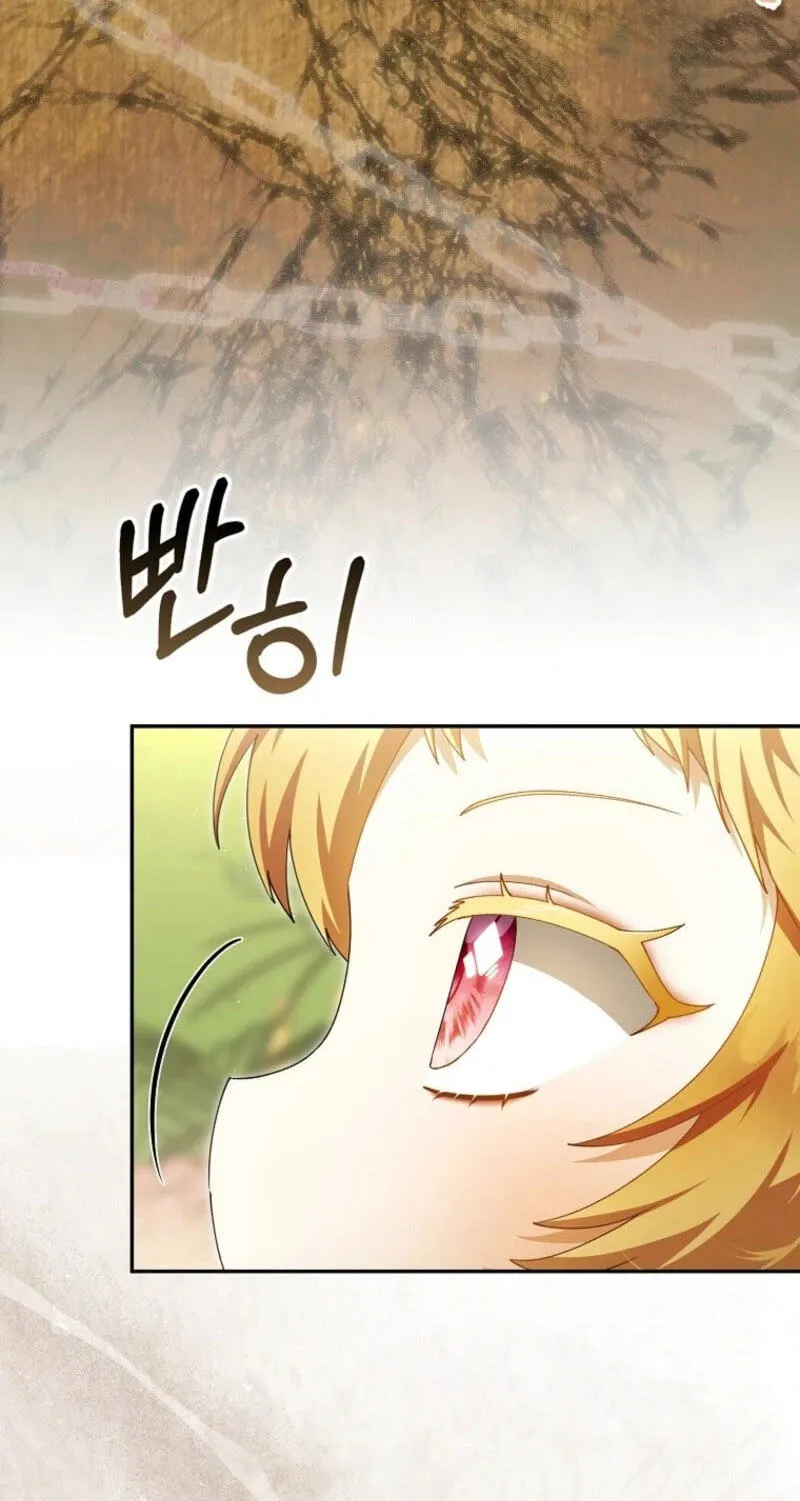 The Baby Fairy is a Villain Chapter 69 page 5 - 
