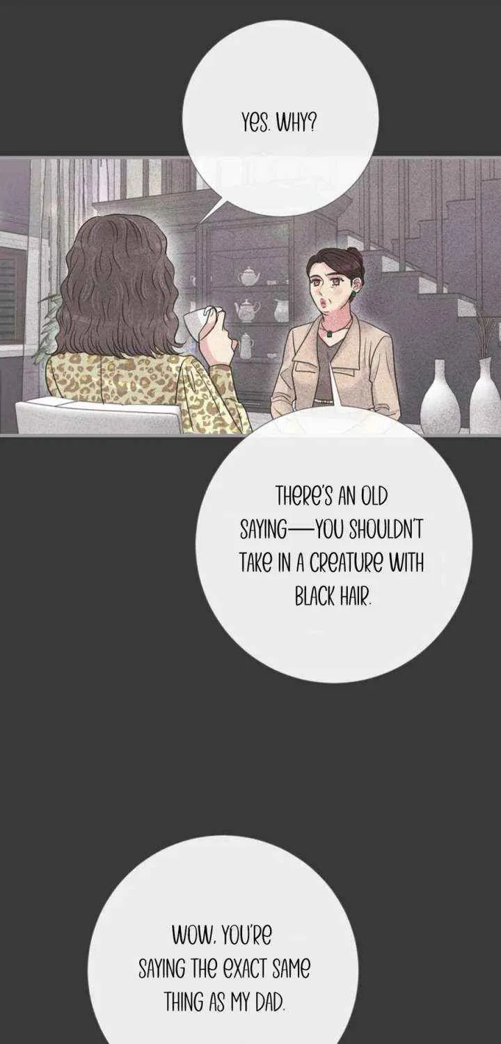 Read The Beast’s Footprints chapter 13 image 55 on Lezhin
