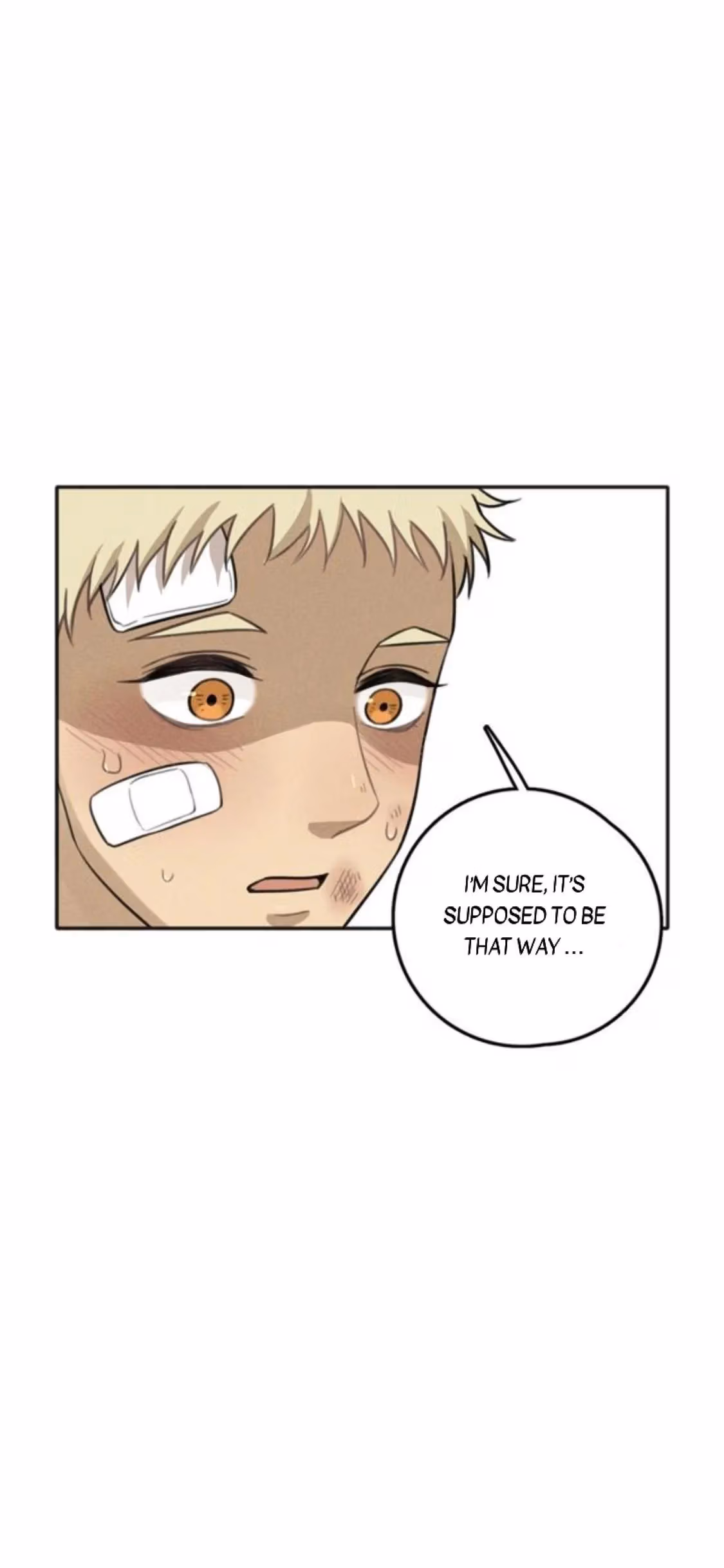 Read The Beautiful Seventeen chapter 75 image 32 on Lezhin