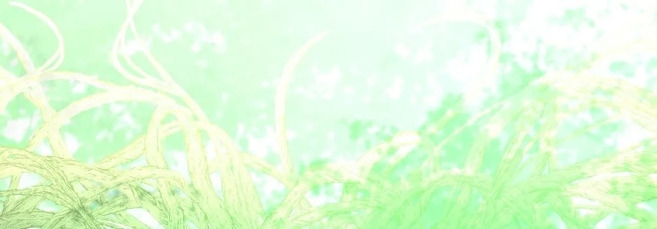 Read The Beginning After the End chapter 123 image 81 on Lezhin