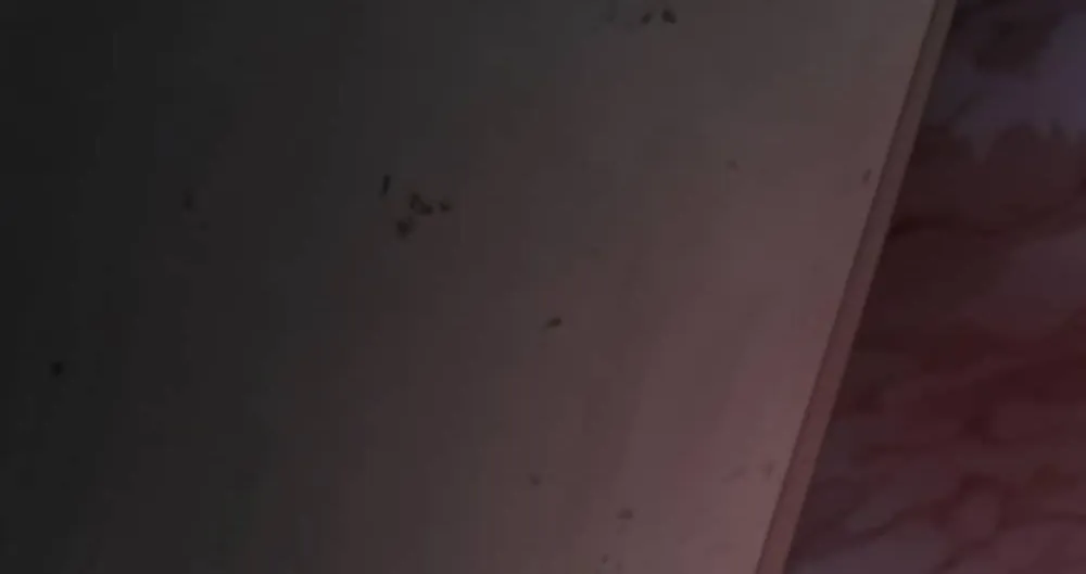 Read The Beginning After the End chapter 171 image 133 on Lezhin