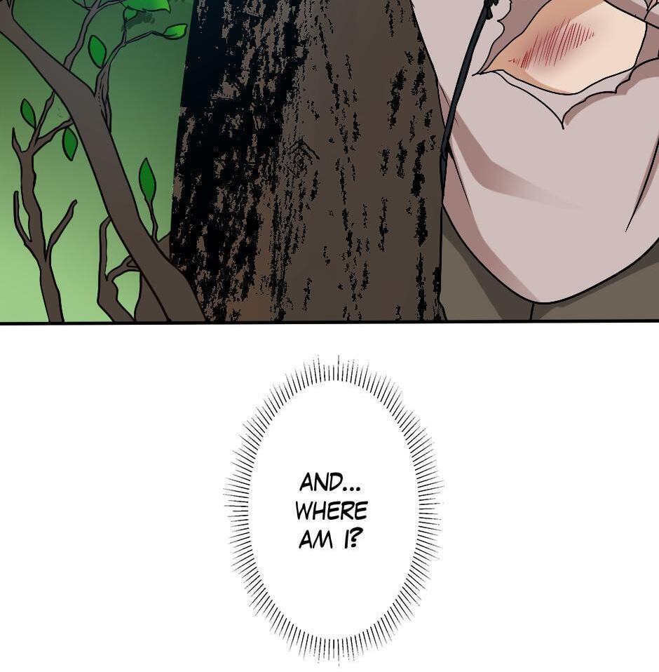 The Beginning After the End Chapter 11 page 118 - 