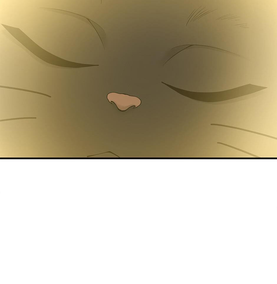 The Beginning After the End Chapter 125 page 91 - 