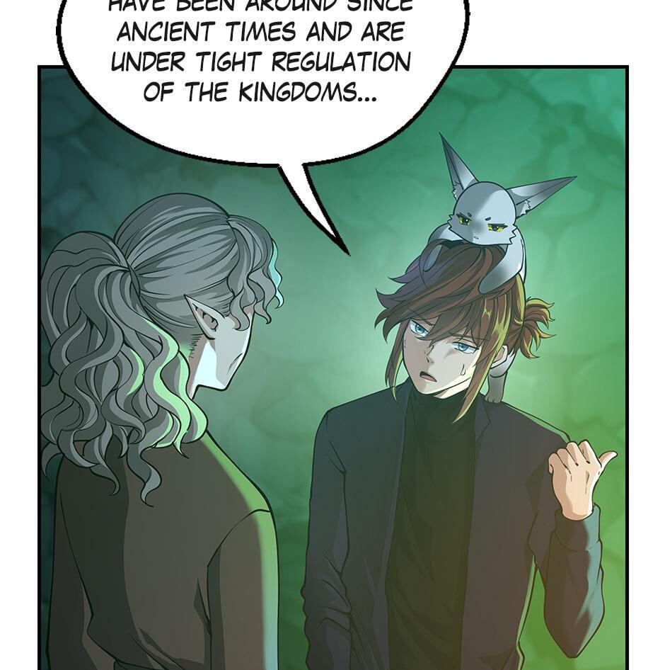 The Beginning After the End Chapter 133 page 35 - 