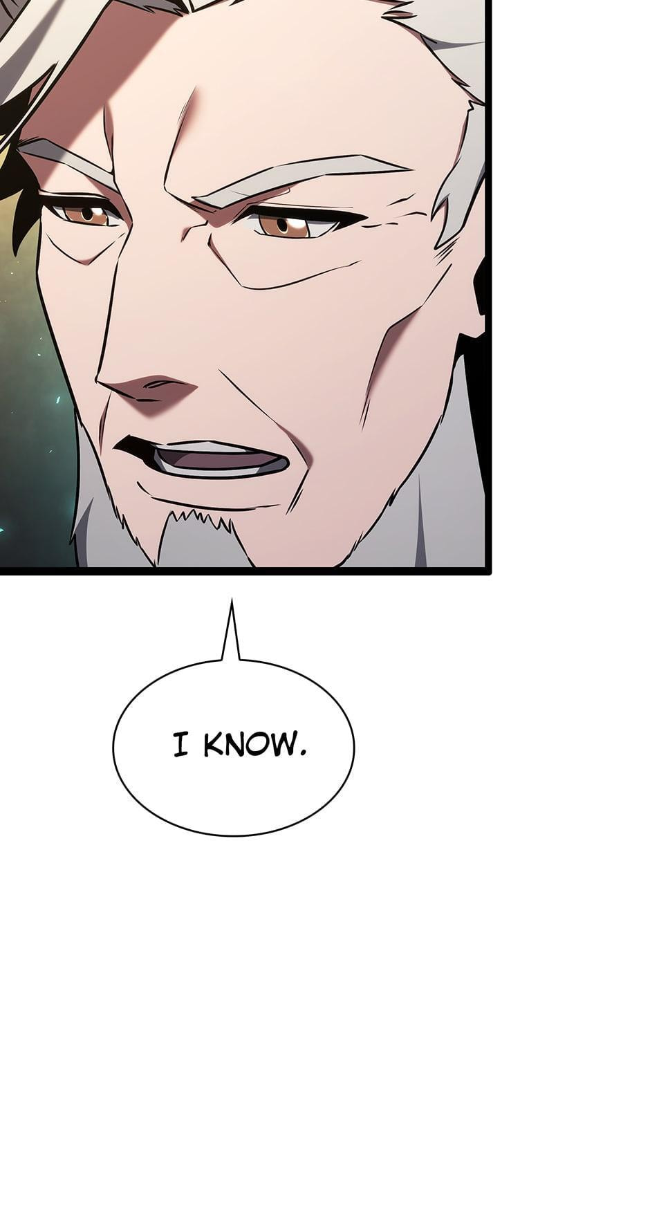 The Beginning After the End Chapter 178 page 181 - 
