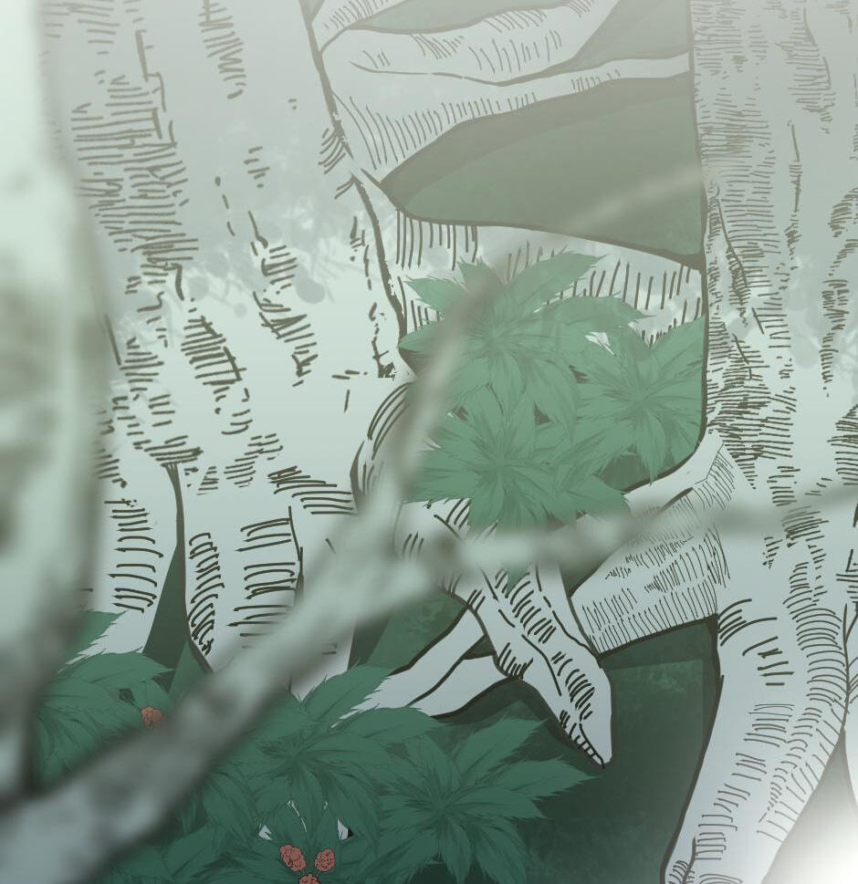 The Beginning After the End Chapter 19 page 2 - 