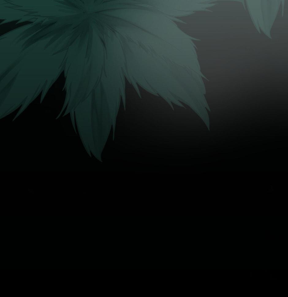 The Beginning After the End Chapter 19 page 13 - 