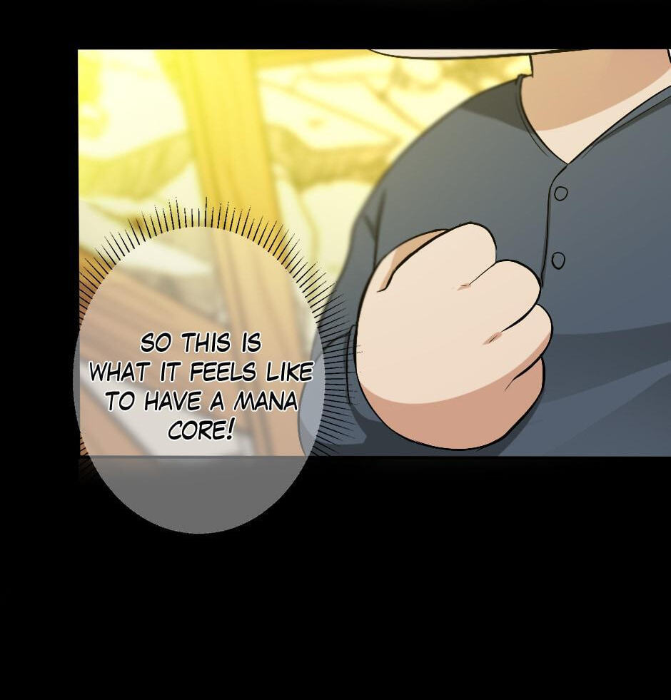 The Beginning After the End Chapter 5 page 42 - 