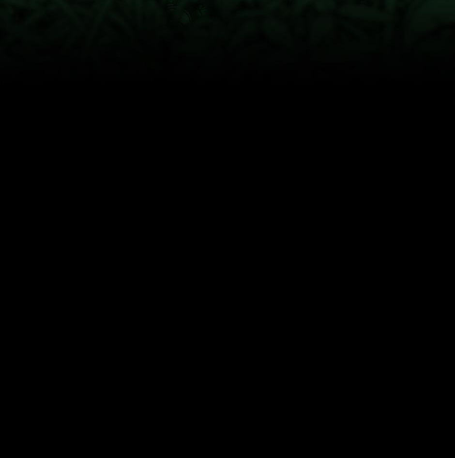 The Beginning After the End Chapter 63 page 28 - 