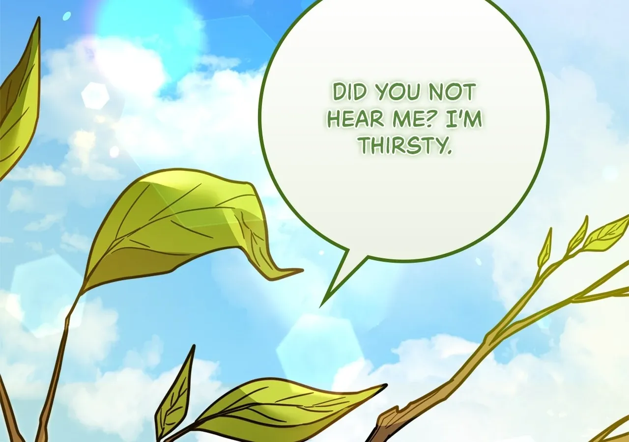 The Beloved Gardener of the World Tree Chapter 1 page 25 - 