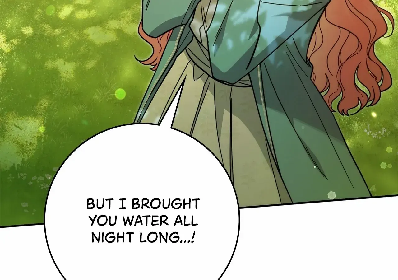 The Beloved Gardener of the World Tree Chapter 1 page 27 - 