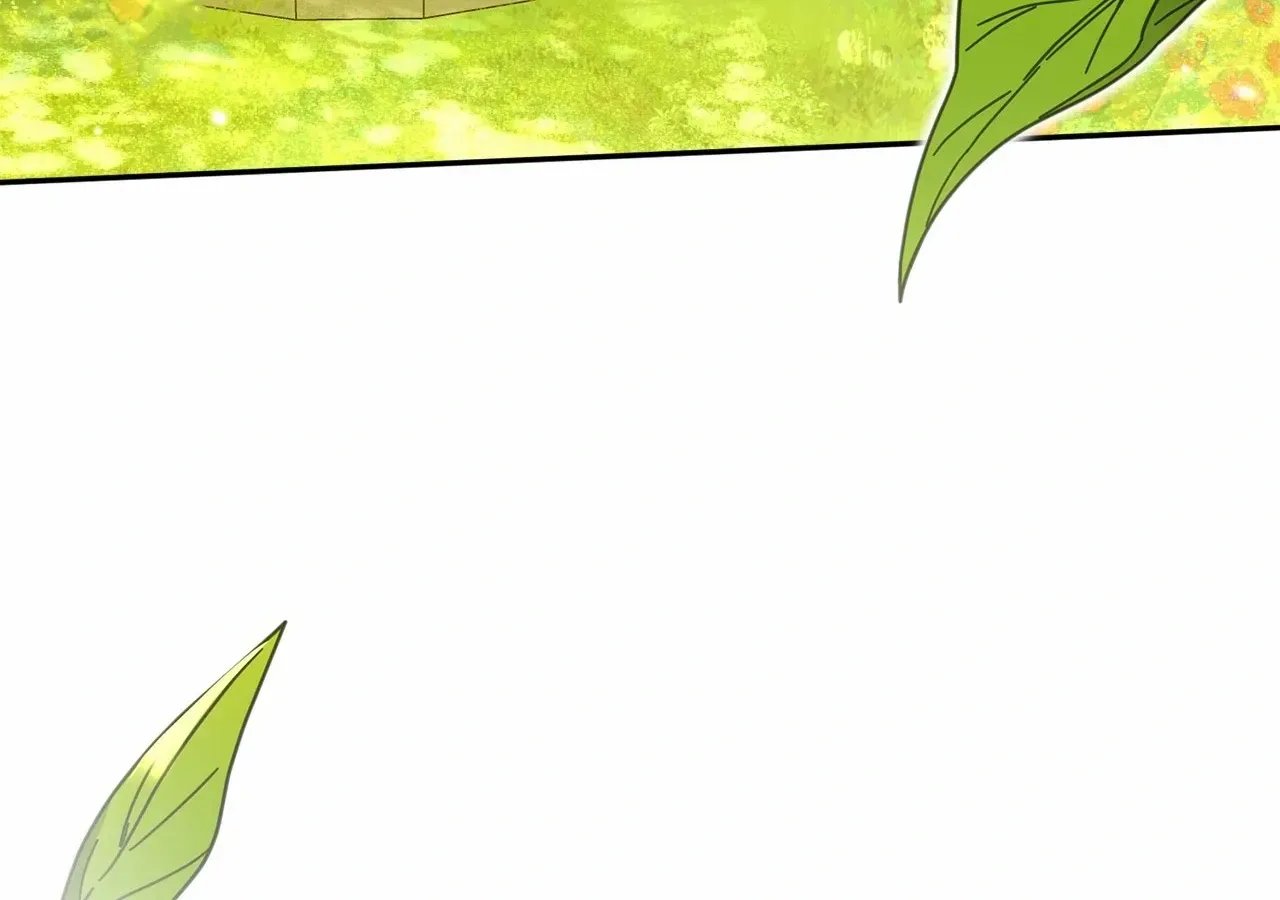 The Beloved Gardener of the World Tree Chapter 1 page 8 - 