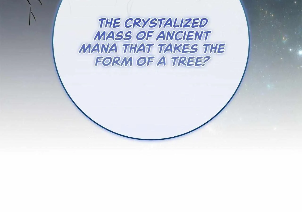 The Beloved Gardener of the World Tree Chapter 2 page 158 - 