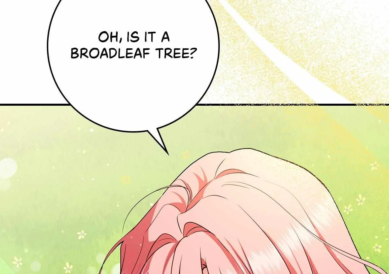 The Beloved Gardener of the World Tree Chapter 2 page 216 - 