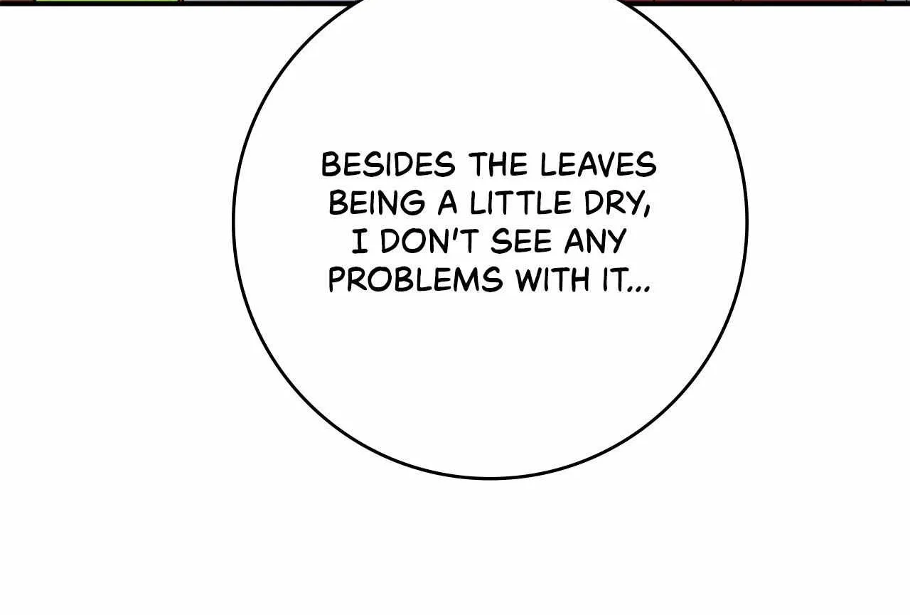 The Beloved Gardener of the World Tree Chapter 2 page 218 - 