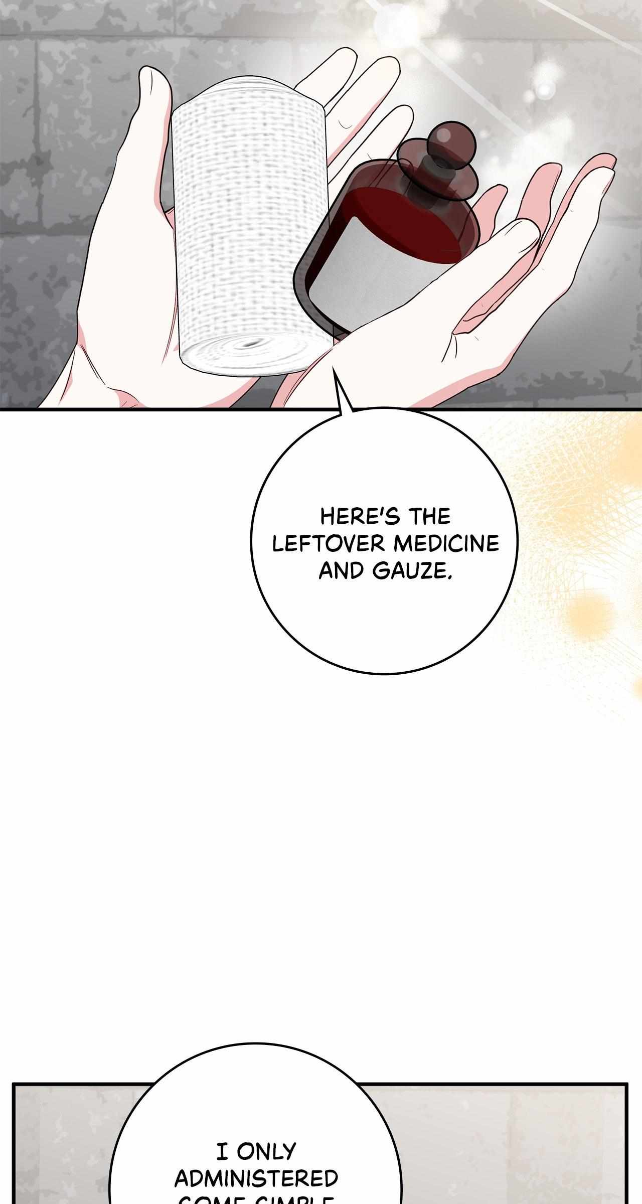 The Beloved Gardener of the World Tree Chapter 27 page 44 - 