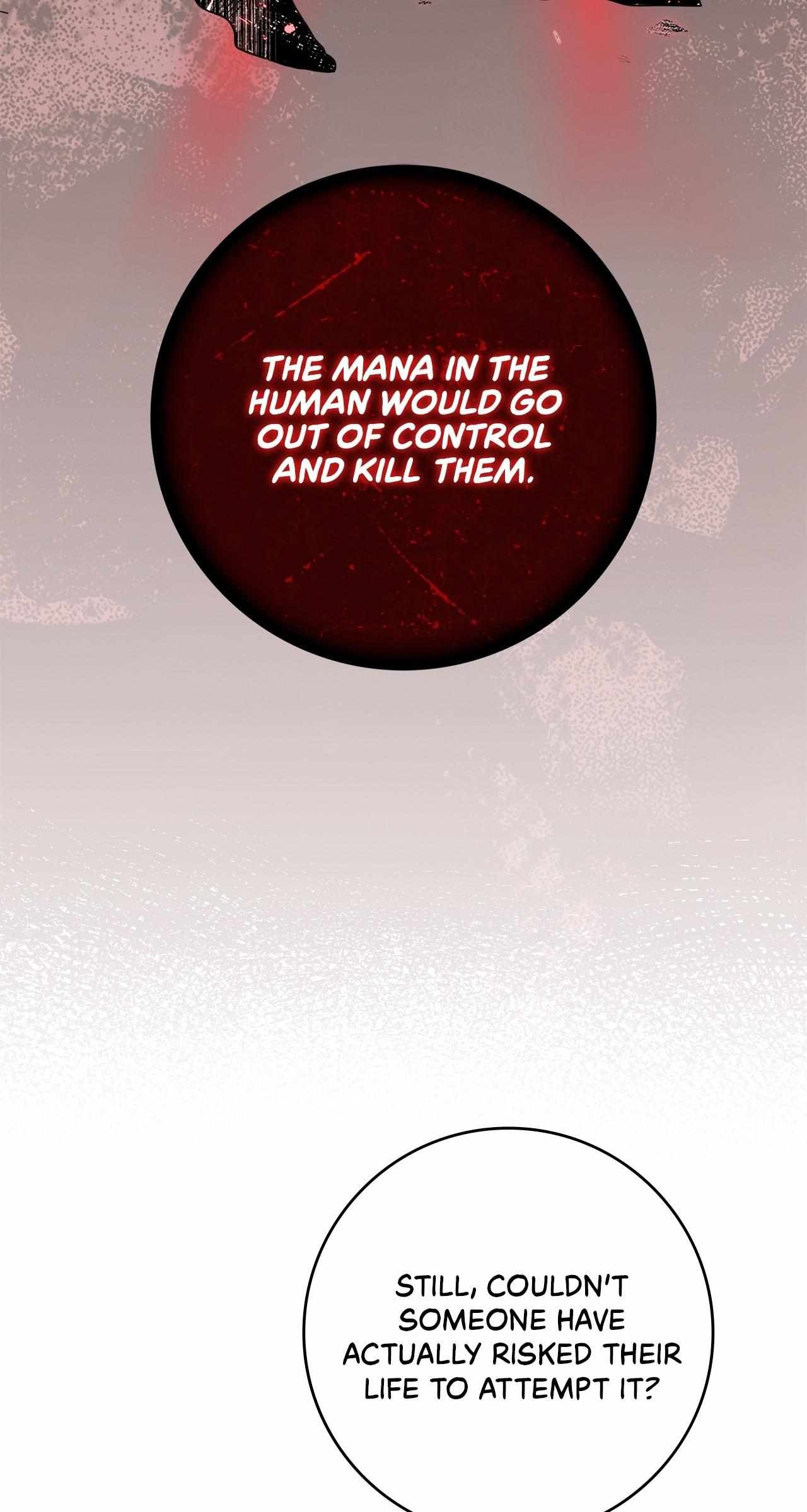 The Beloved Gardener of the World Tree Chapter 29 page 25 - 