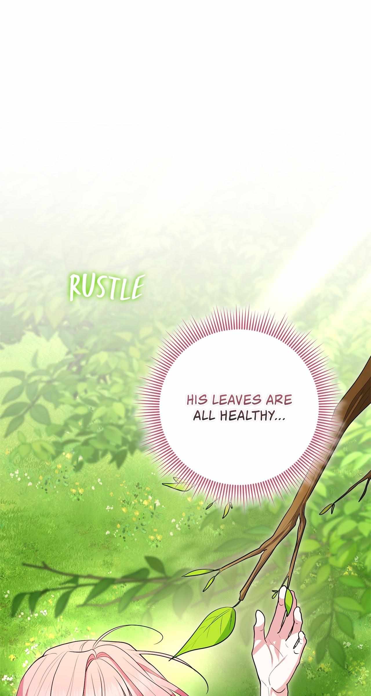 The Beloved Gardener of the World Tree Chapter 30 page 17 - 