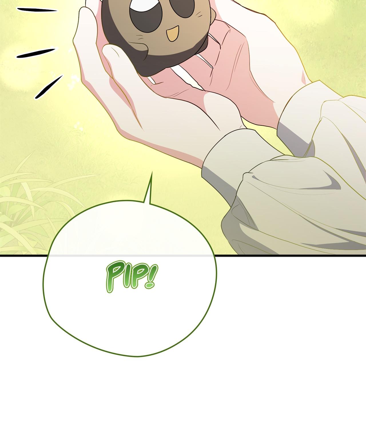 The Beloved Gardener of the World Tree Chapter 31 page 37 - 