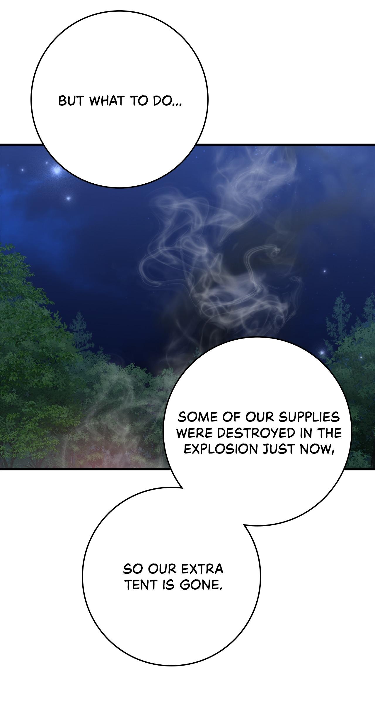The Beloved Gardener of the World Tree Chapter 34 page 29 - 