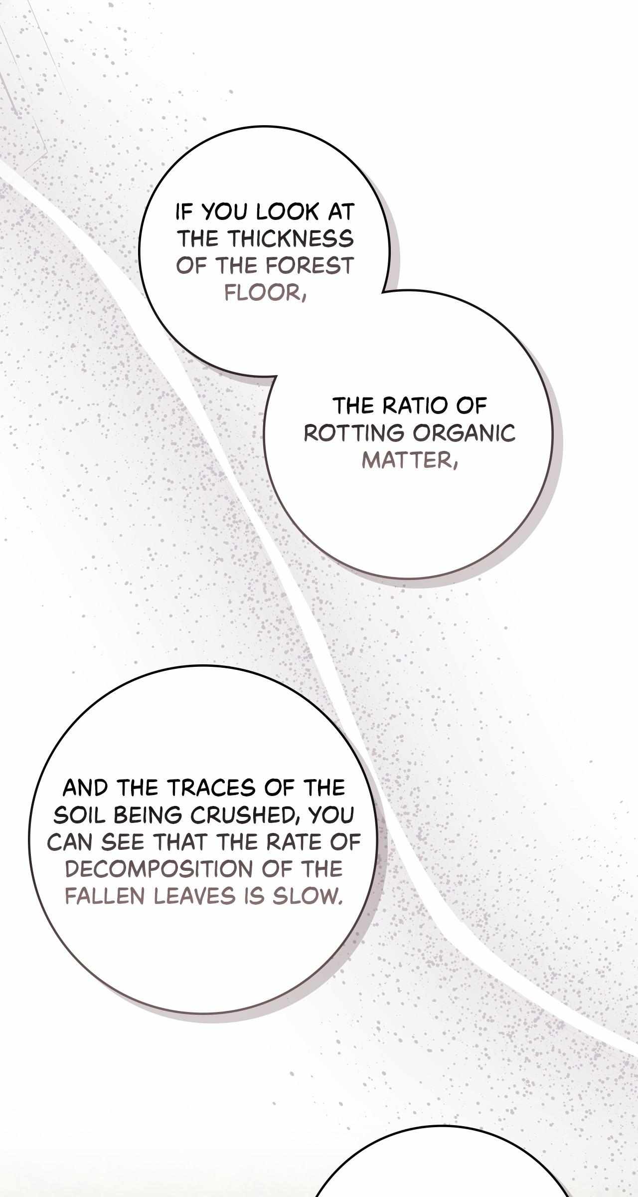 The Beloved Gardener of the World Tree Chapter 36 page 53 - 