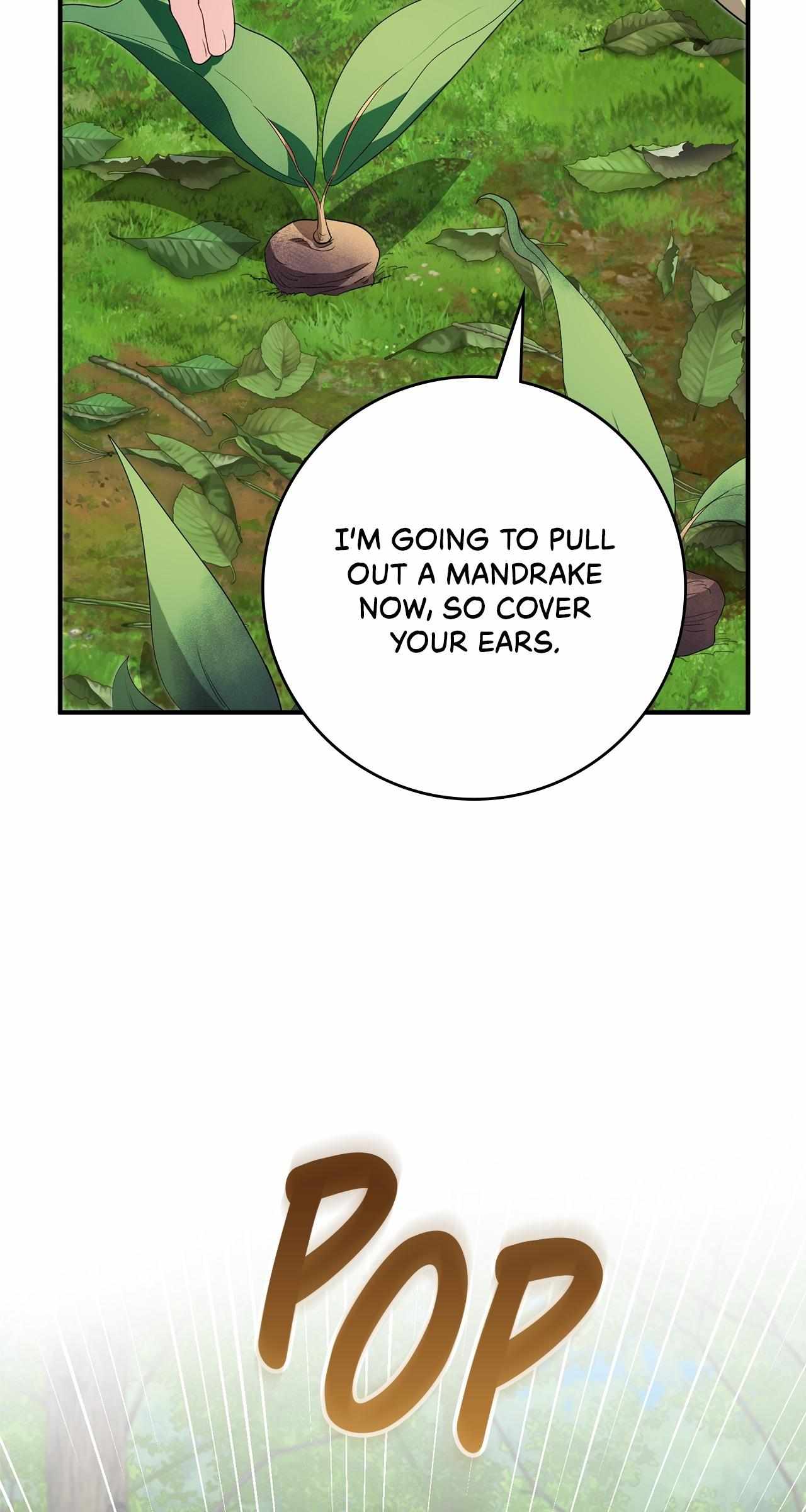 The Beloved Gardener of the World Tree Chapter 36 page 58 - 