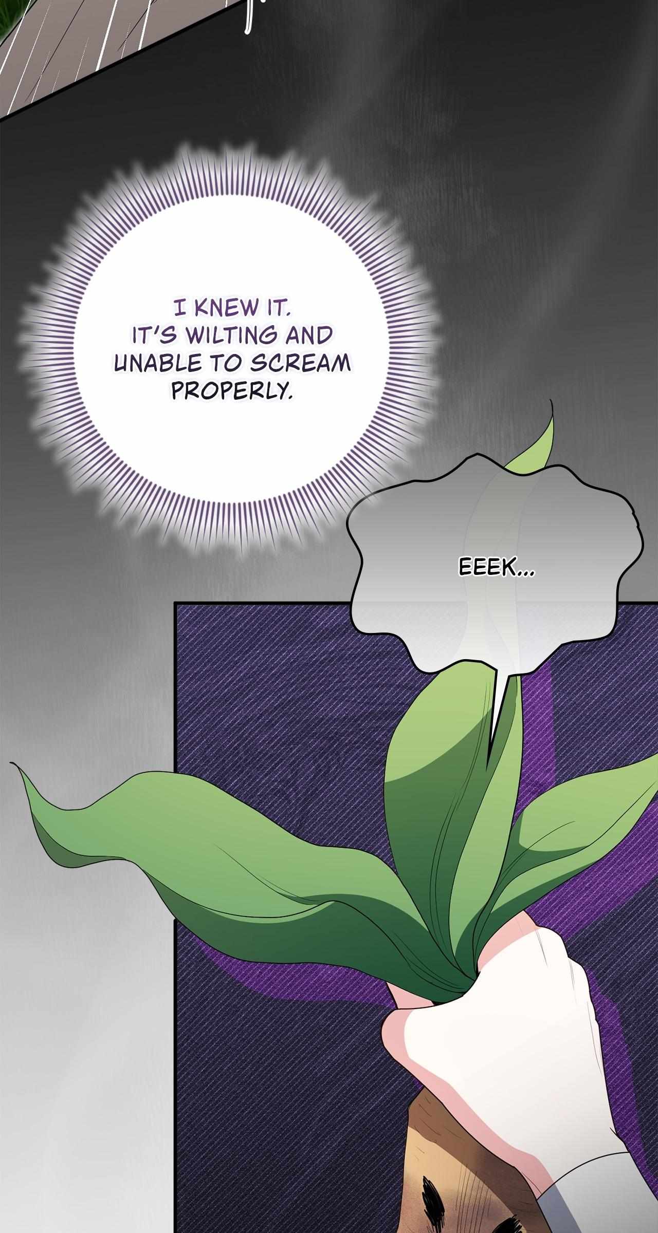 The Beloved Gardener of the World Tree Chapter 36 page 60 - 