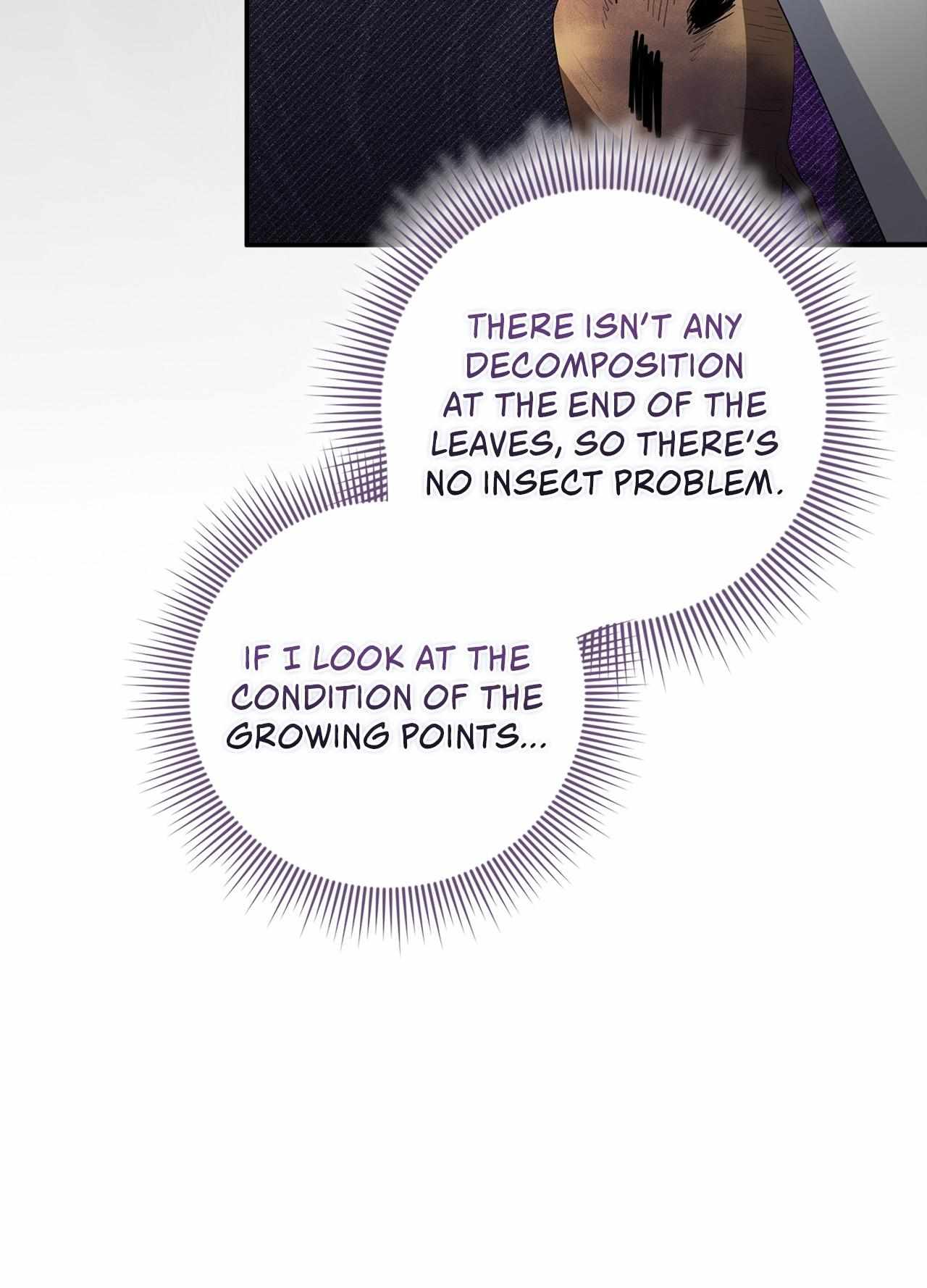 The Beloved Gardener of the World Tree Chapter 36 page 61 - 